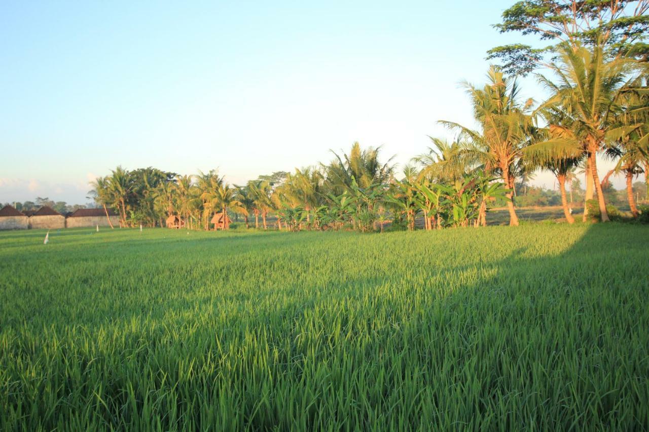 Ayuna Family Ubud Kültér fotó