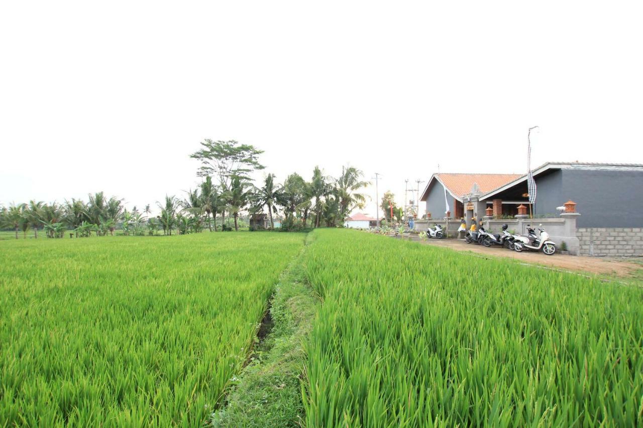Ayuna Family Ubud Kültér fotó