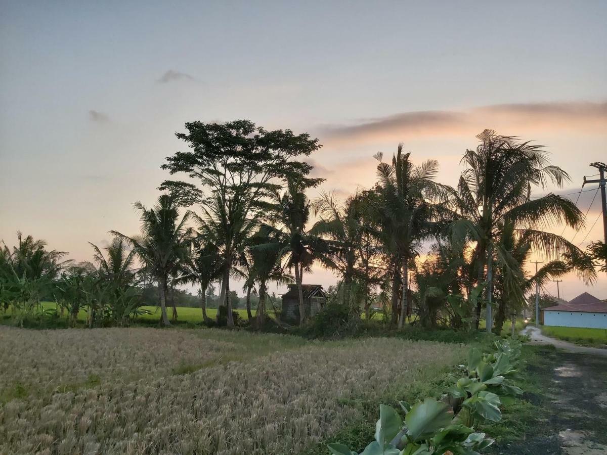 Ayuna Family Ubud Kültér fotó