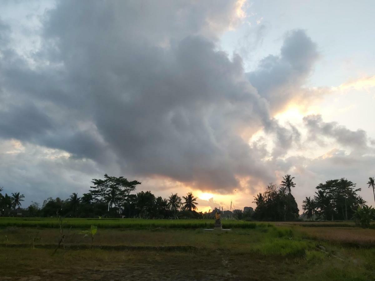 Ayuna Family Ubud Kültér fotó